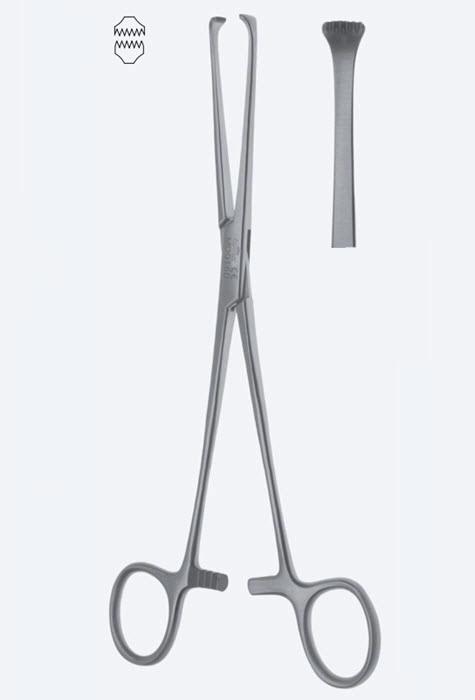 Зажими Thoms-Allis для захоплення органів і тканин, прямі, зубчасті, зубці 6 х 7, загальна довжина 205 мм. Бренд - Asanus Medizintechnik Gmb, Німеччина